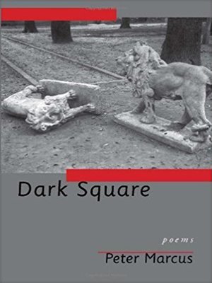 cover image of Dark Square